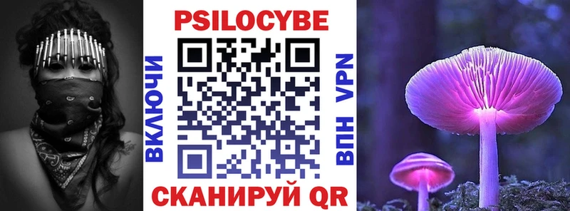 блэк спрут маркетплейс  Северобайкальск  Псилоцибиновые грибы Psilocybine cubensis 